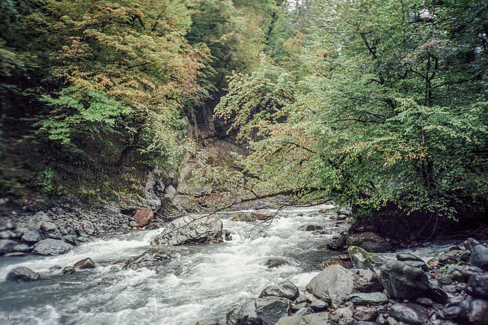 Река Мзымта - Сочи