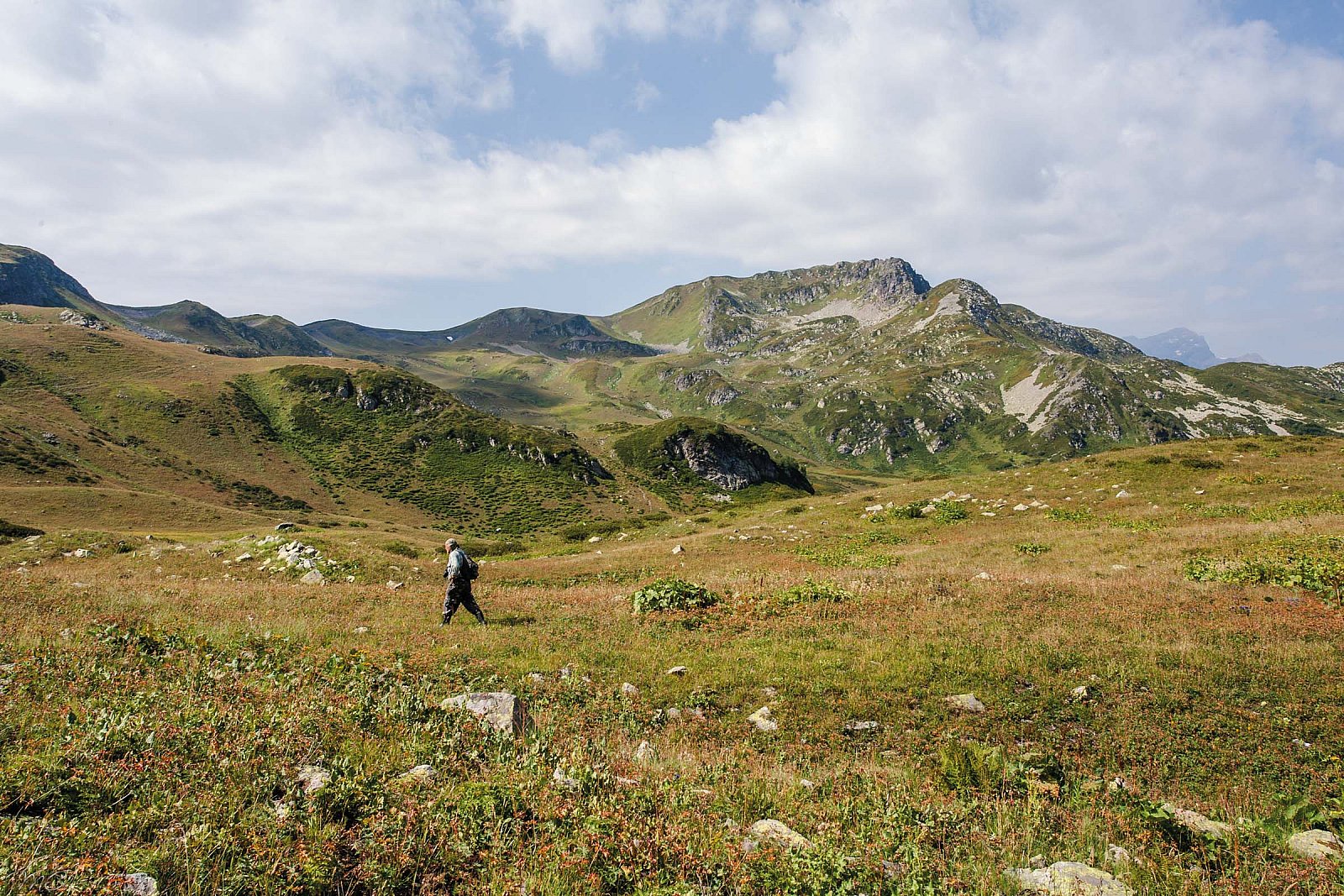 Альпийские луга - Красная поляна (Сочи)