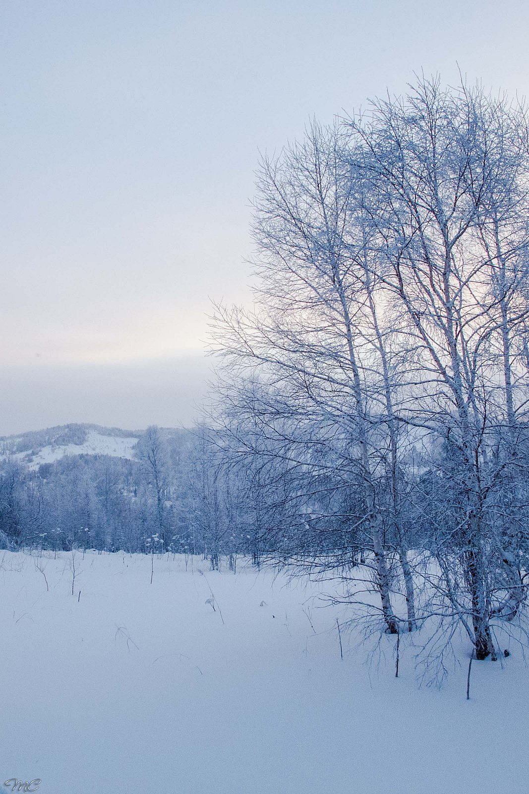 Долина реки Куюм - Алтай (зима)