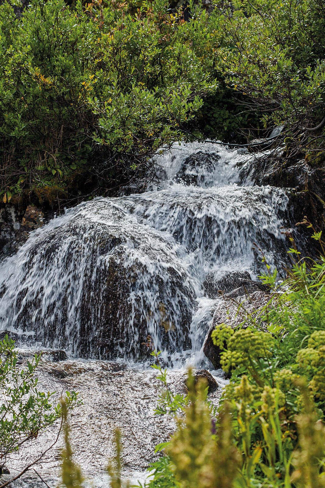 Водопад у Алахинского озера - Алтай (лето)