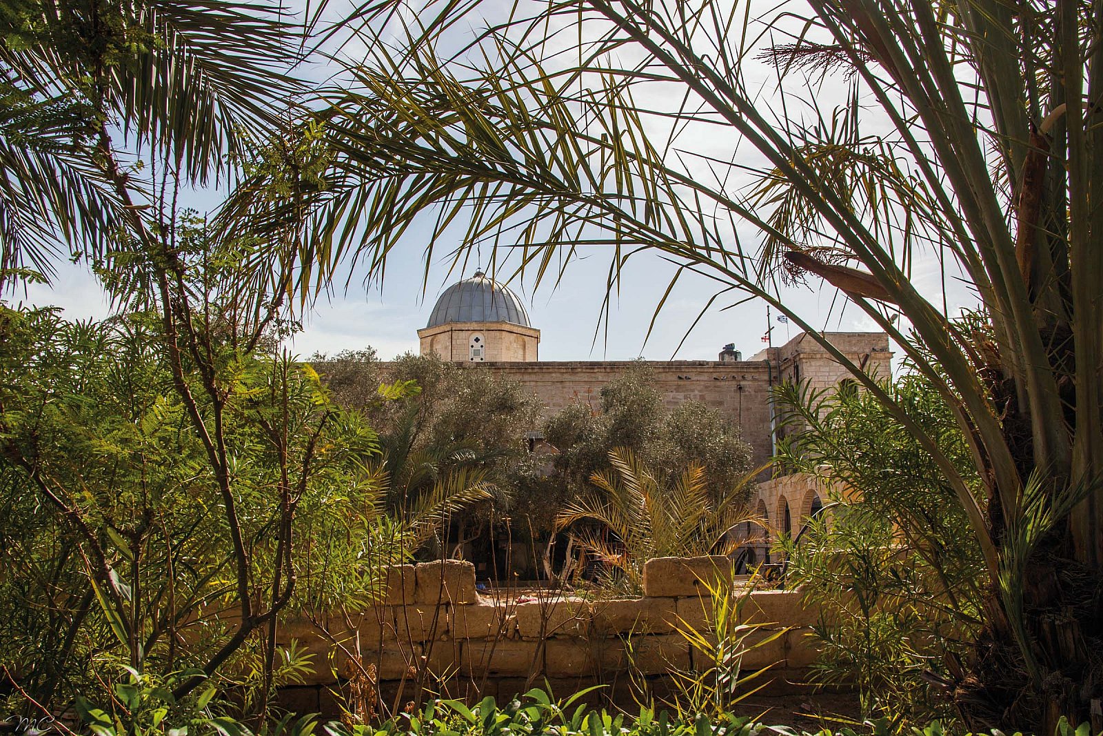 Монастырь Герасима Иорданского - Израиль Иордания Египет