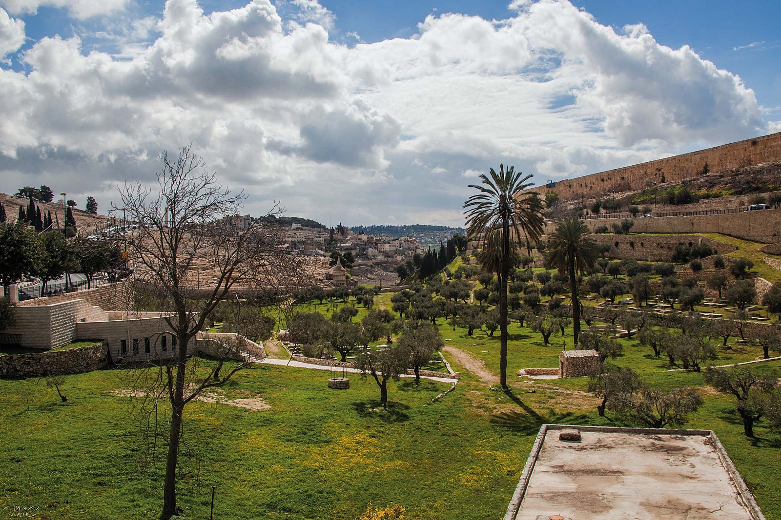 Католическое кладбище - Израиль Иордания Египет