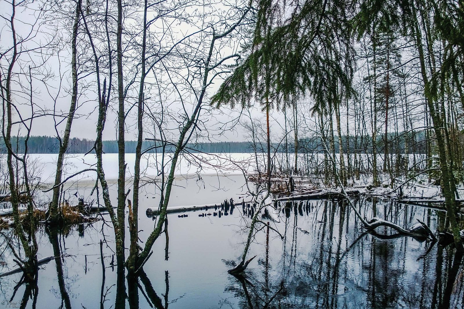 Протока у озера Большой Кукас - Лодейнопольский район
