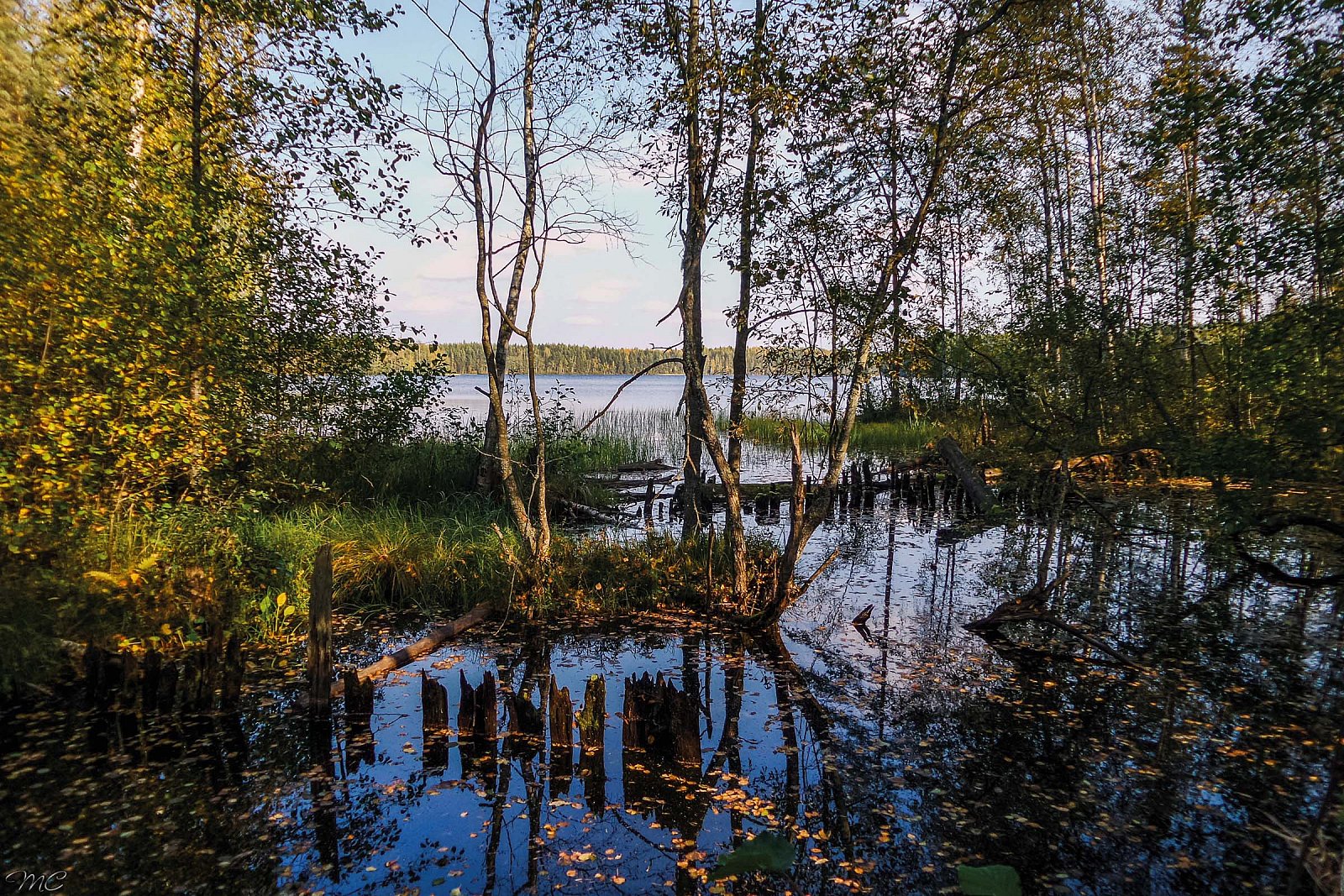 Протока у озера Большой Кукас - Лодейнопольский район
