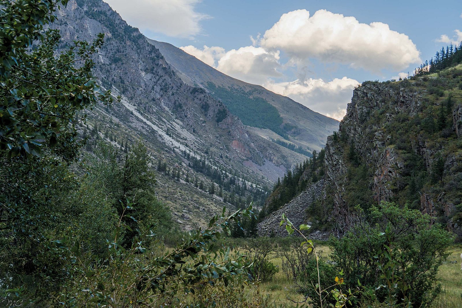 Долина реки Аргут - Алтай