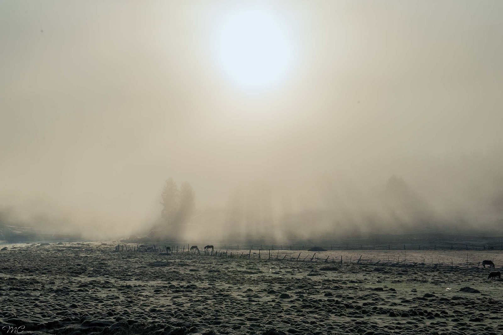 Утро туманное - Алтай