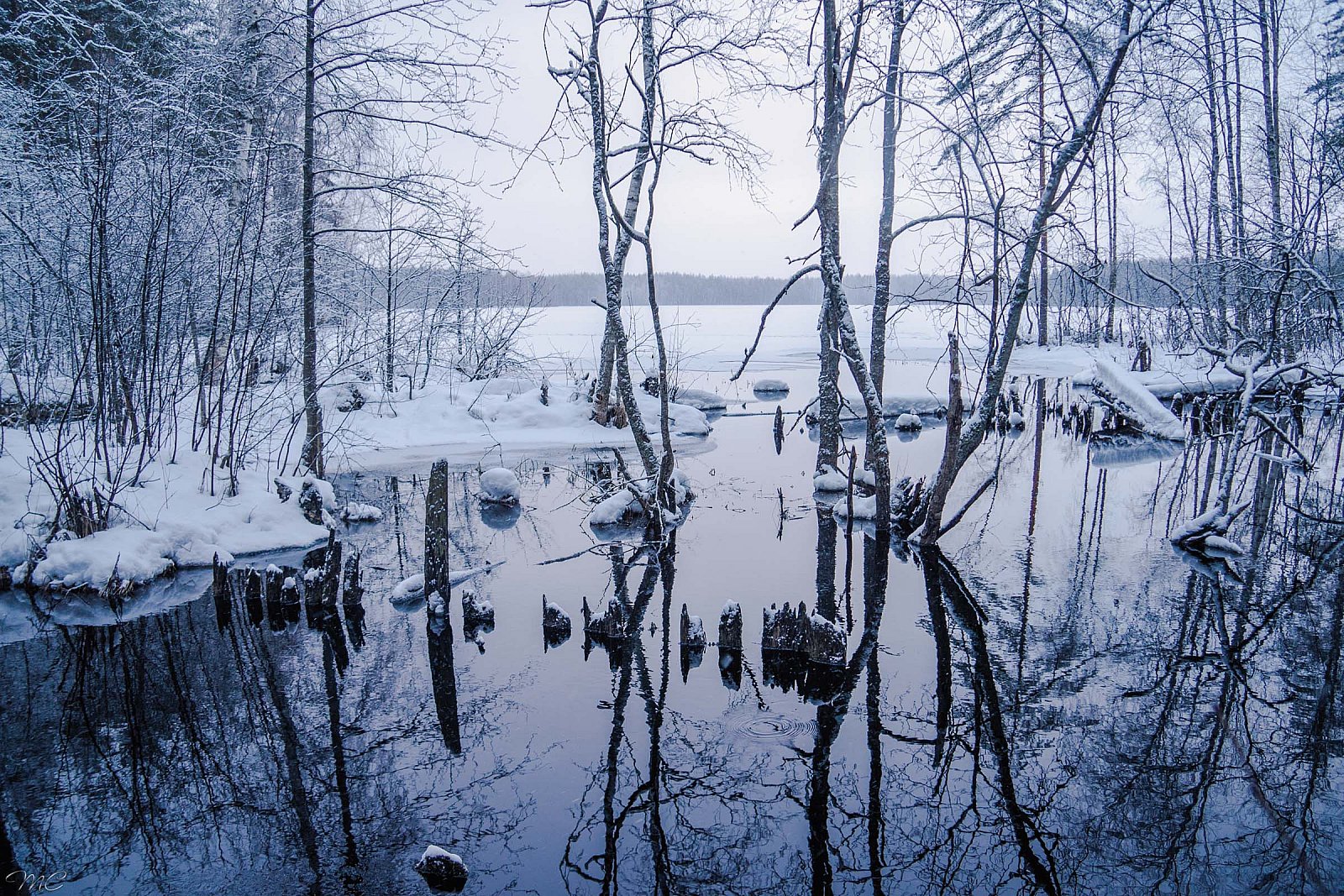 Озеро Большой Кукас - Лодейнопольский район