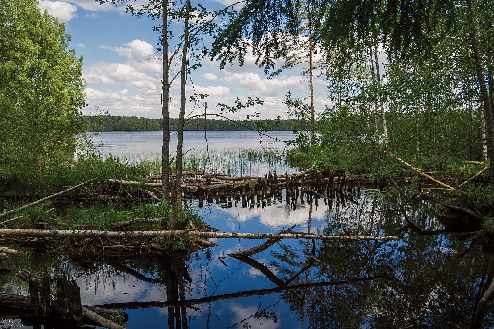 Озеро Большой Кукас - Свирское