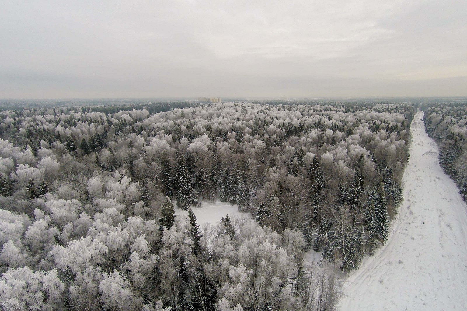Зимний лес - Подмосковье