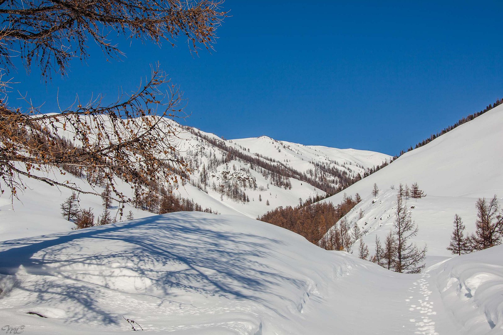 Зимние горы - Алтай (зима)