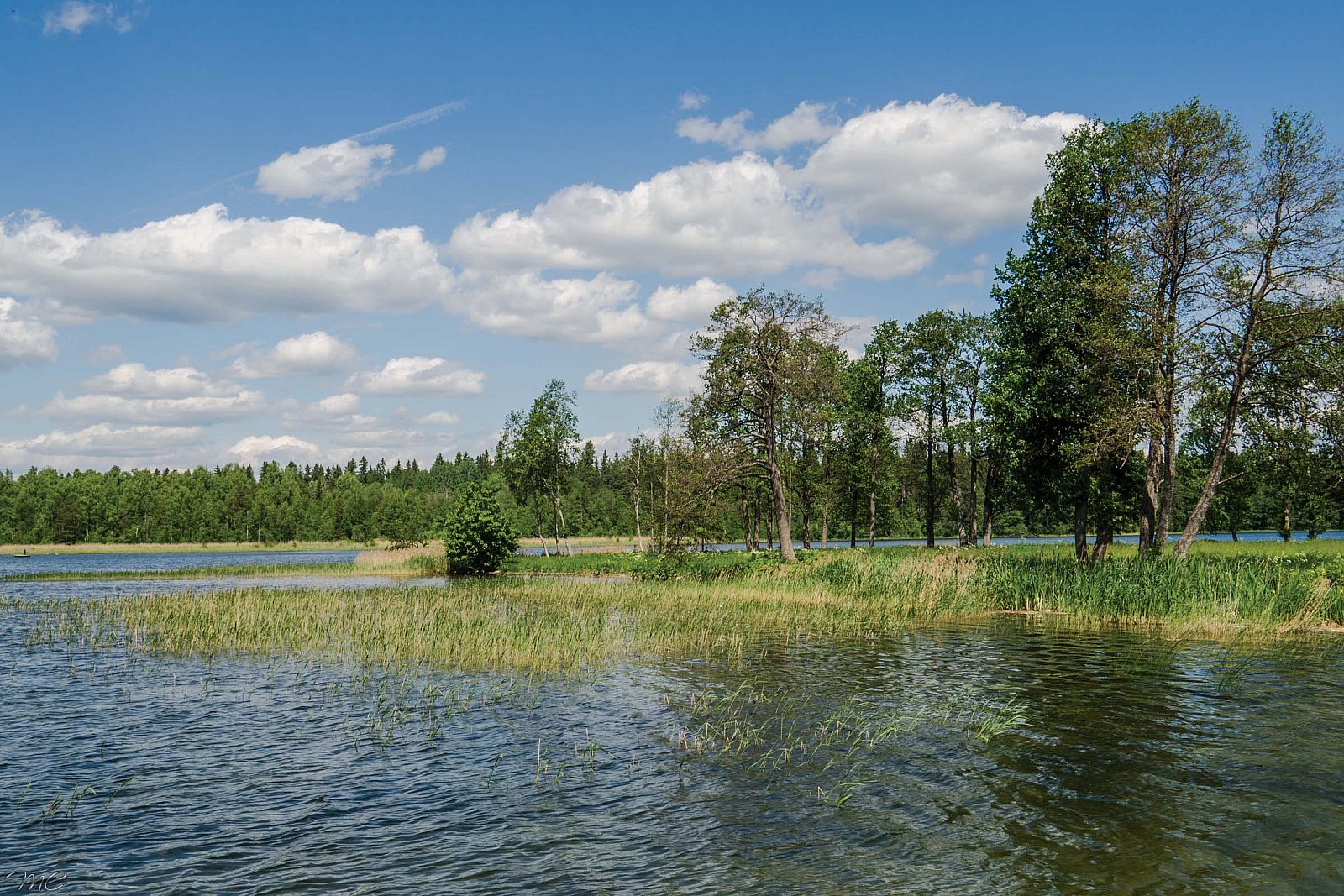 Озеро Валдайское - Новгородская область