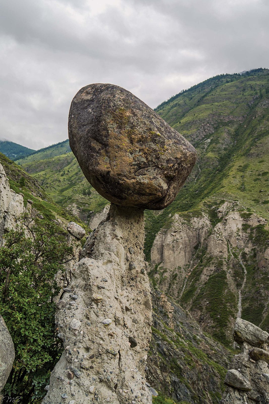 Каменные грибы - Алтай (лето)