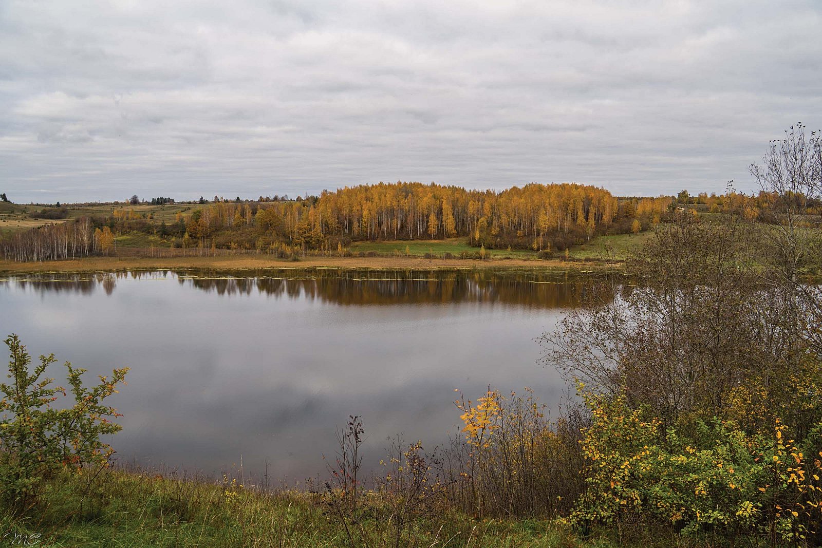 Озеро Городищенское -  Печорский район (Псковская область)