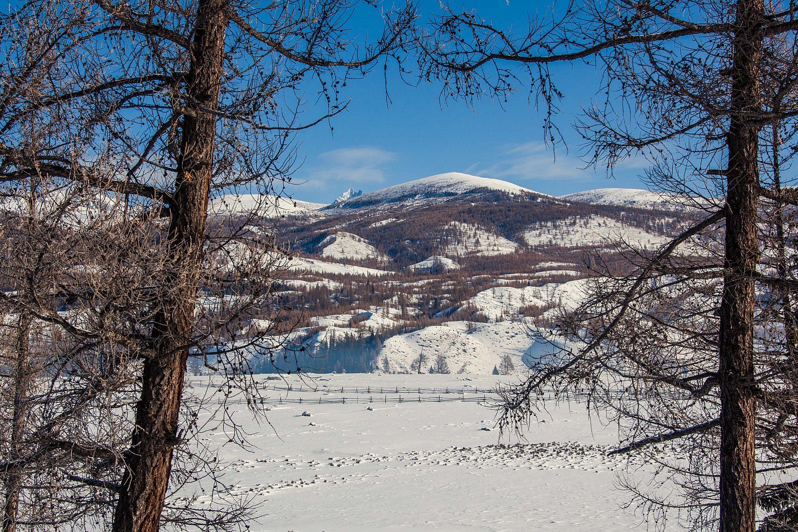 Южно-Чуйский горный массив - Алтай (зима)