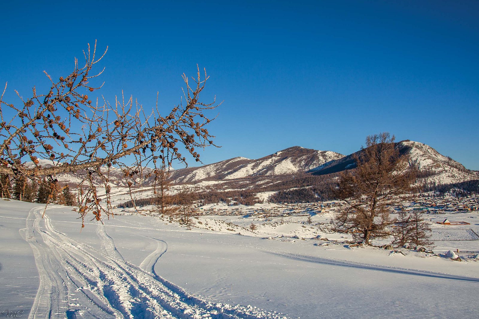 Посёлок Беляши - Алтай (зима)