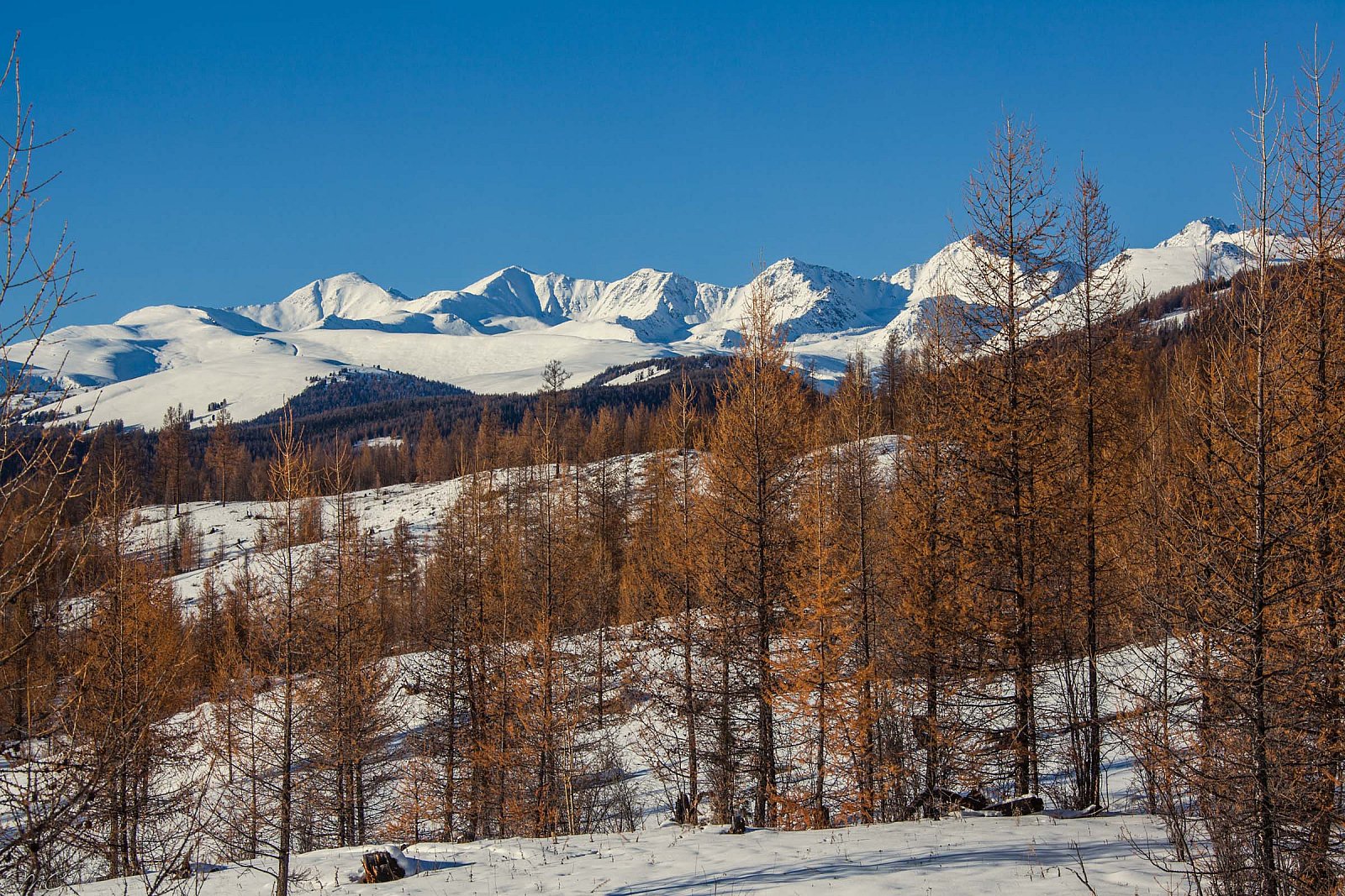 Южно-Чуйский горный массив - Алтай (зима)