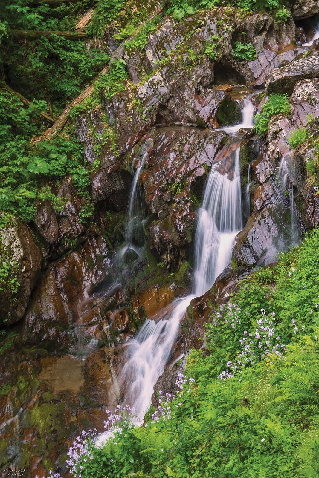 Водопад Мишкин грот - Сочи