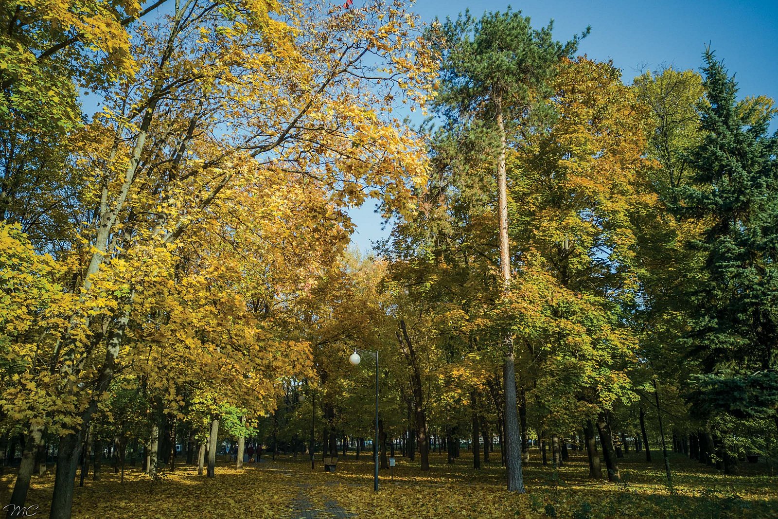 Чапаевский парк - Москва