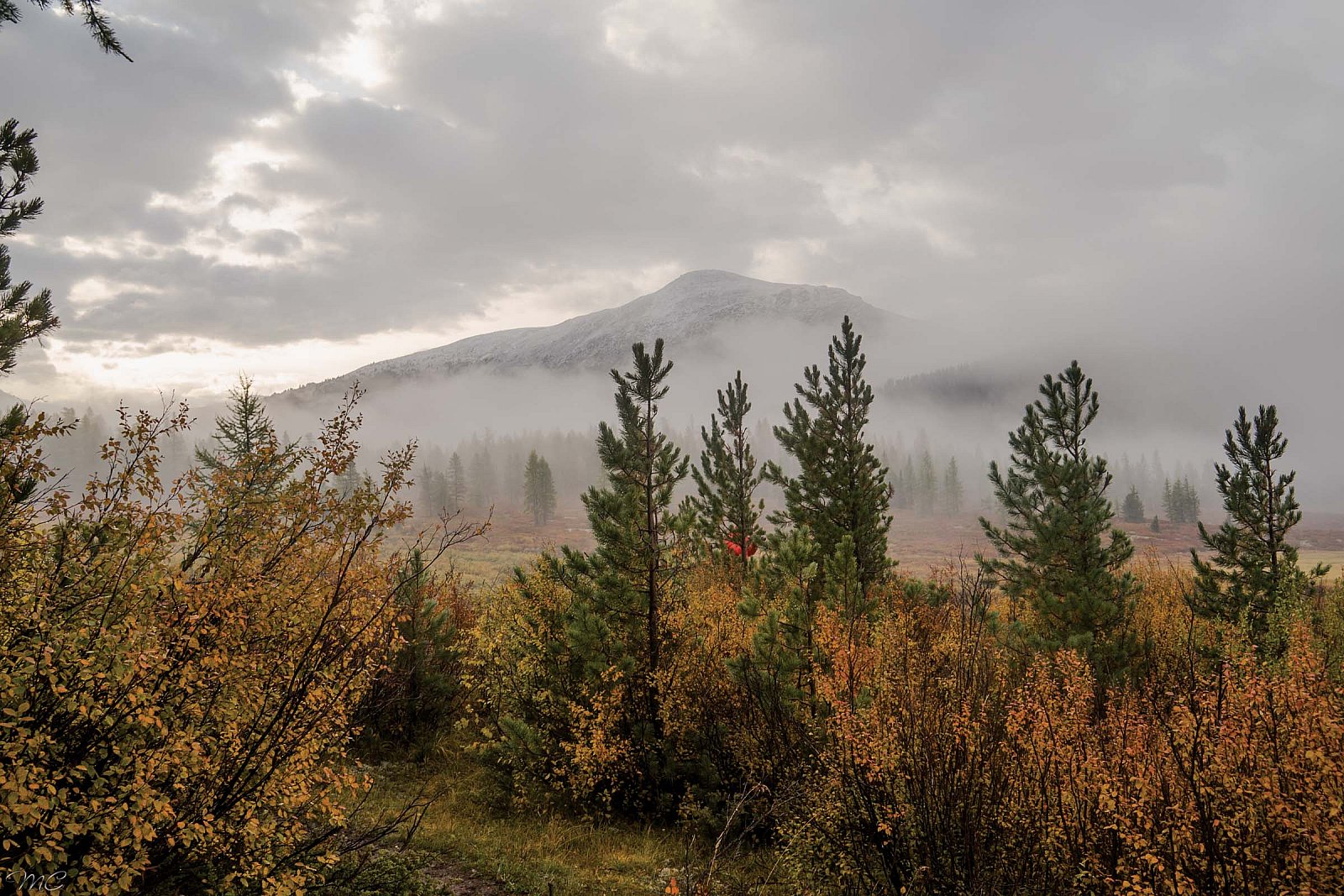 Туманное утро - Алтай (осень)
