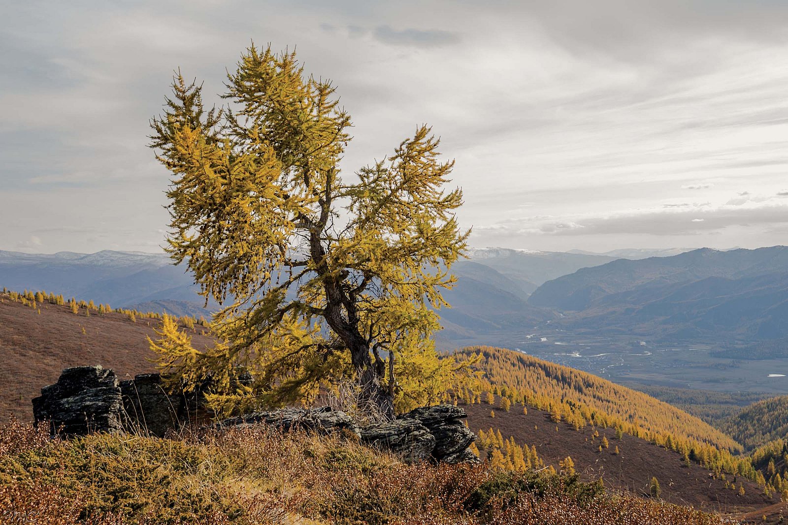 Осень в горах - Алтай (осень)