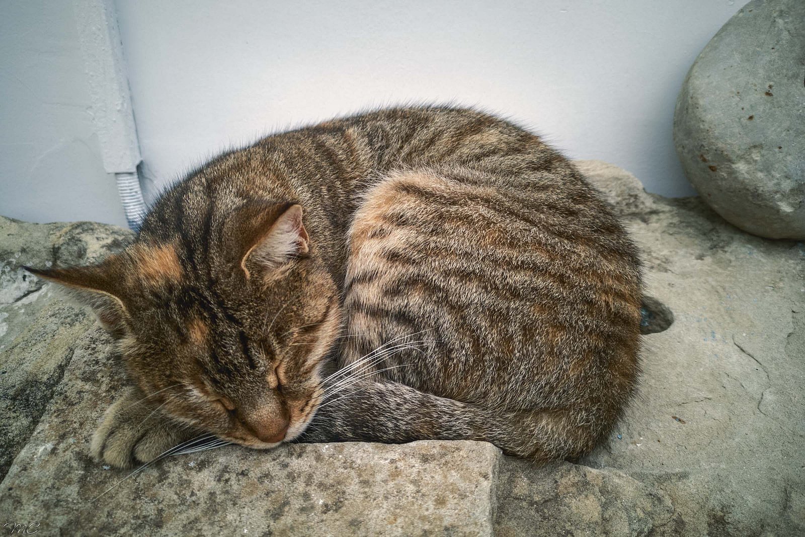Спящий кот - Греция
