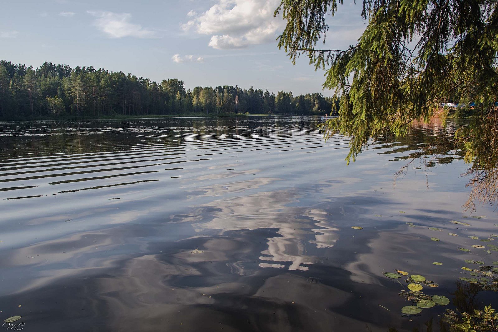 Река Оредеж - Ленинградская область и Карелия
