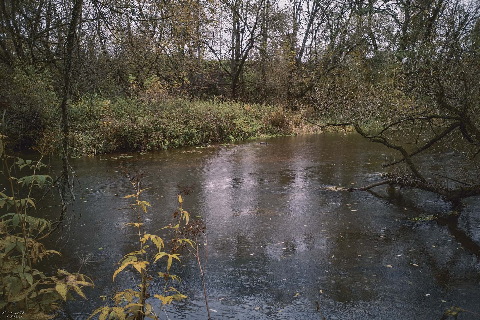 Река Серёна - Козельский район (Калужская область)