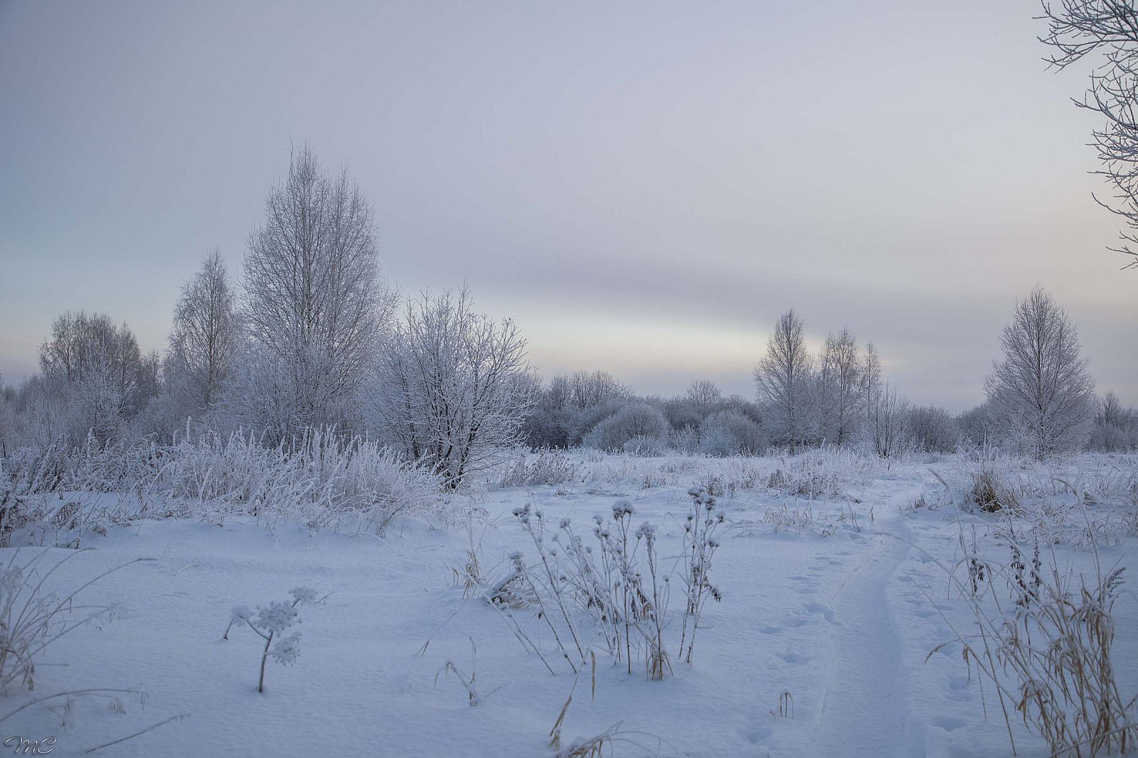 Морозным утром - Костромская область
