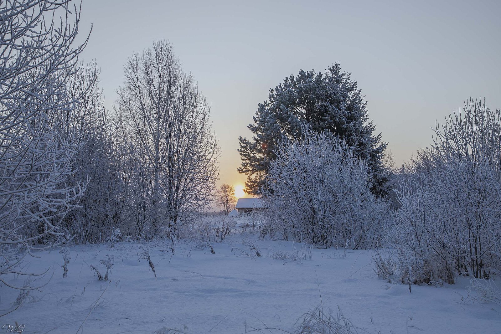 Морозным утром - Костромская область