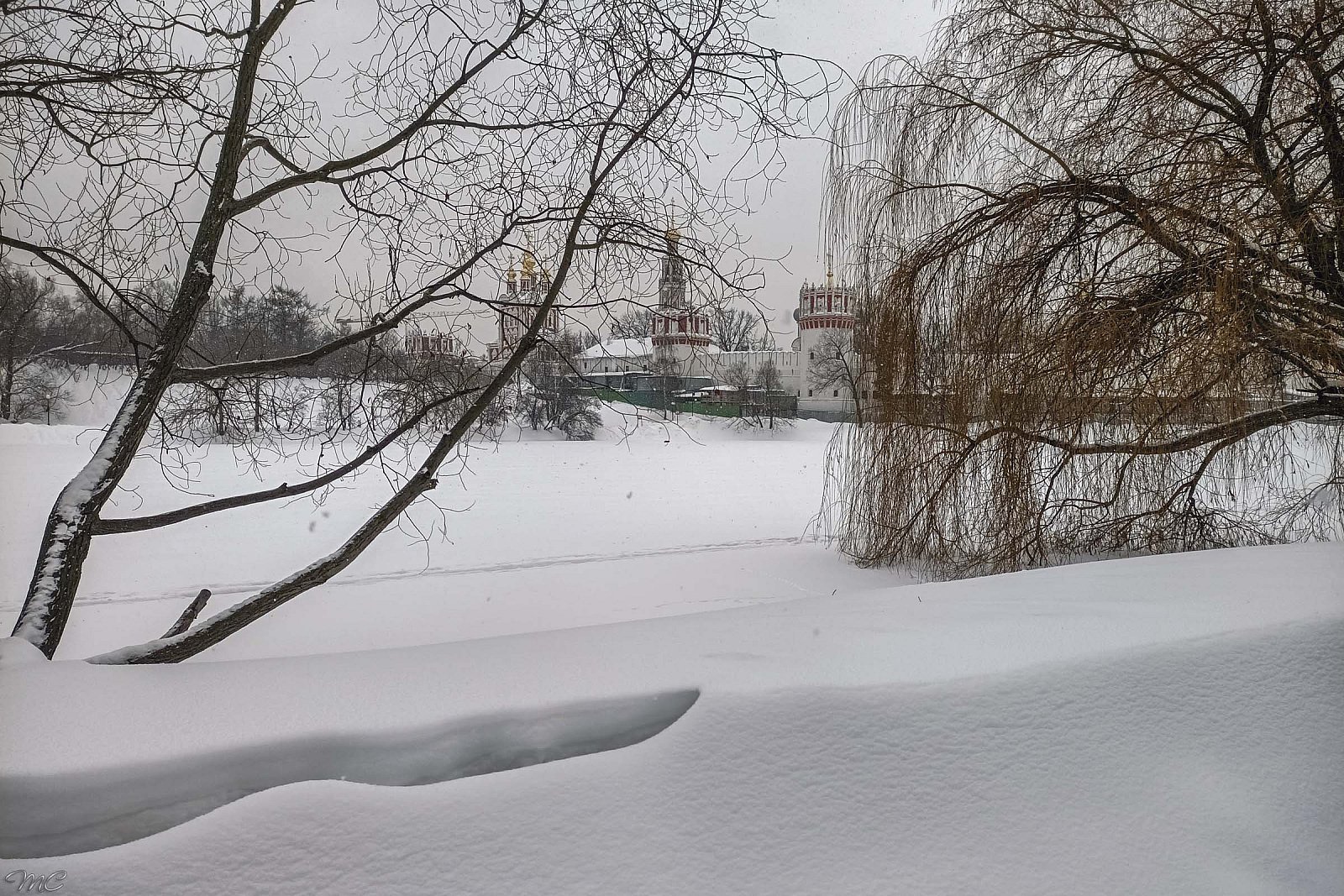 Большой Новодевичий пруд - Москва